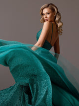 panel waist Sparkle Evening dress