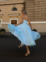 Bustier corset backless glitter dress midi