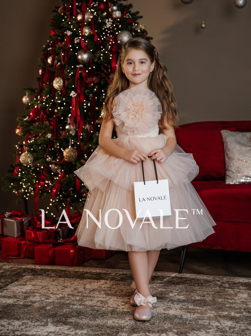 Kids birthday party tutu dress with flower brooch