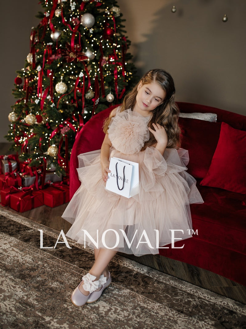 Kids birthday party tutu dress with flower brooch