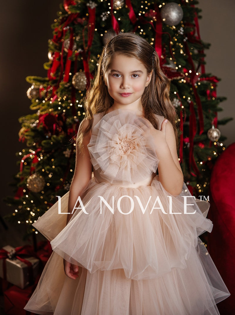 Kids birthday party tutu dress with flower brooch